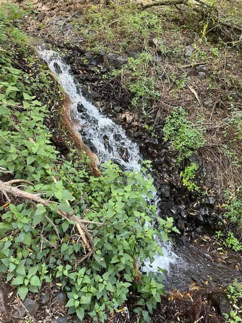 Gran Canaria: a trip to the Barranco de los Cernícalos - What Our Reviewer Says