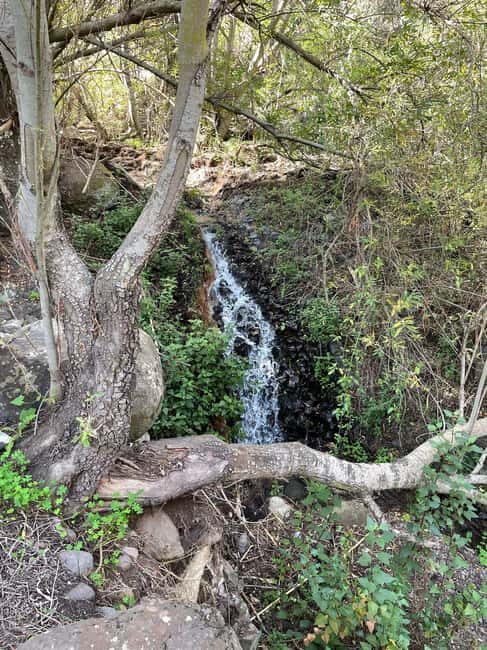 Gran Canaria: a trip to the Barranco de los Cernícalos - Is This Tour Right for You?