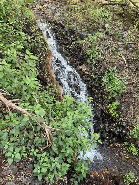 Gran Canaria: a trip to the Barranco de los Cernícalos - Final Thoughts