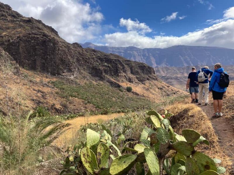 Gran Canaria: a trip to the Veneguera Valley - An In-Depth Look at the Veneguera Valley Tour