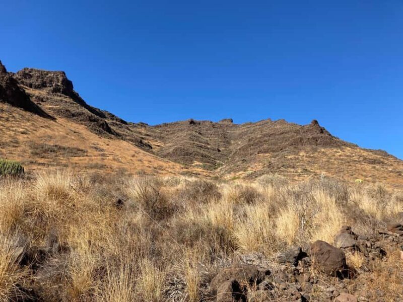 Gran Canaria: a trip to the Veneguera Valley - What Do the Reviews Say?