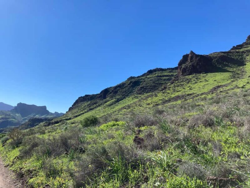 Gran Canaria: a trip to the Veneguera Valley - Who Is This Tour Best For?