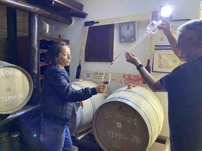 Gran Canaria: Best Wineries and Views Tour - Final Thoughts