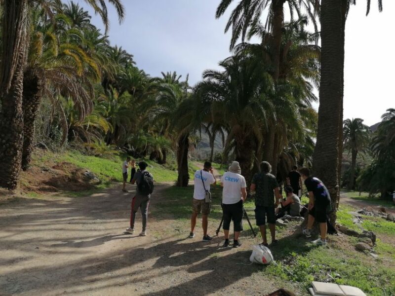 Gran Canaria: Camel Ride at Camel Safari Park - What to Expect from Your Camel Safari Experience