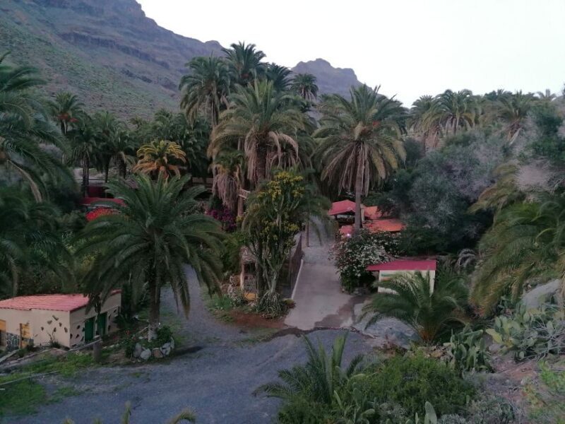 Gran Canaria: Camel Ride at Camel Safari Park - Authentic Traveler Insights