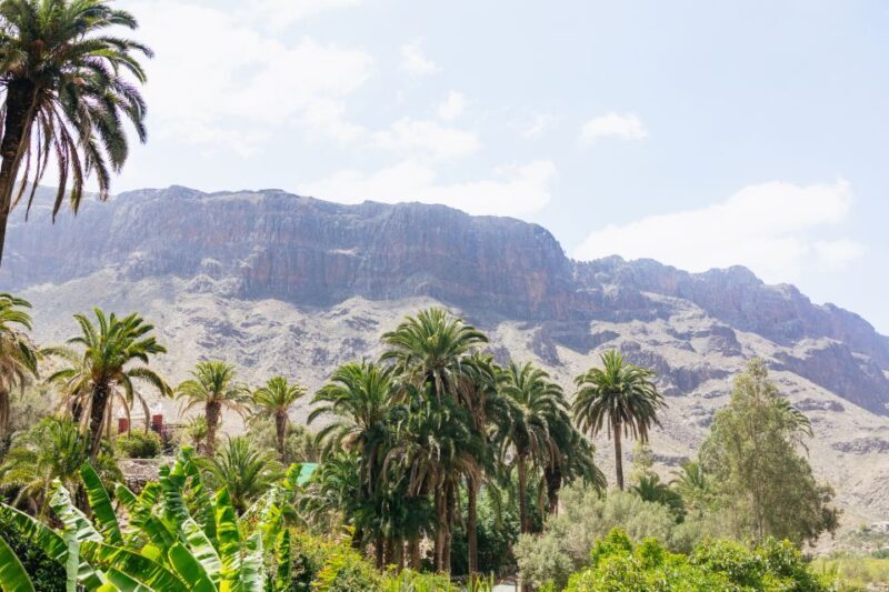 Gran Canaria: Camel Ride Safari w/ Optional Food & Transport - Final Thoughts — Who Is This Tour Best For?