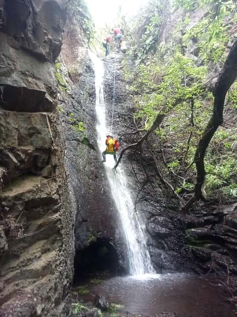 Gran Canaria: Canyoning Adventure in the Green Heart Jungle - A Closer Look at the Canyoning Experience in Gran Canaria