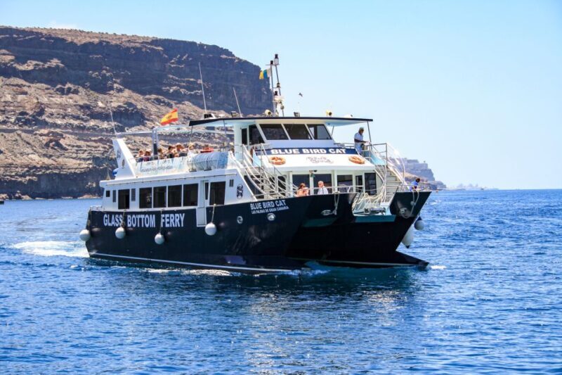 Gran Canaria: Catamaran Dolphin Watch Cruise with Snorkeling - What to Expect from the Cruise