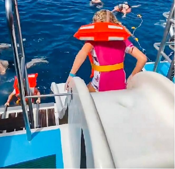 Gran Canaria: Catamaran Dolphin Watch Cruise with Snorkeling - Real Experiences from Travelers