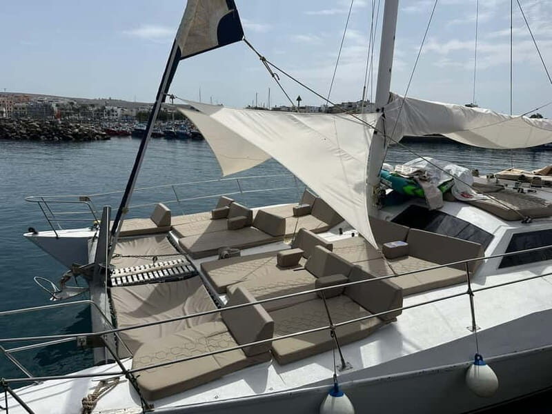 Gran Canaria: Catamaran Tour with Lunch and Drinks - The Ride Along Gran Canaria’s South Coast