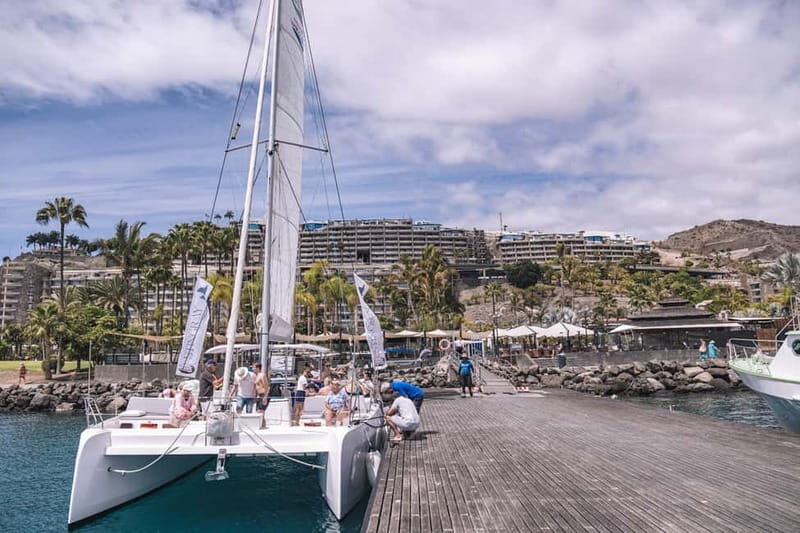 Gran Canaria: Catamaran Tour with Lunch on Pristine Beaches - Who Should Book This Tour?