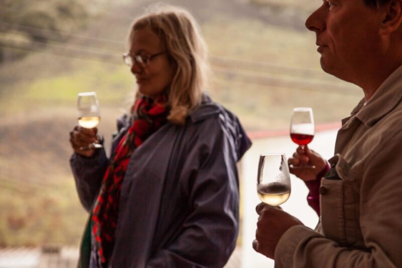 Gran Canaria: Customizable Private Tour - Key Points