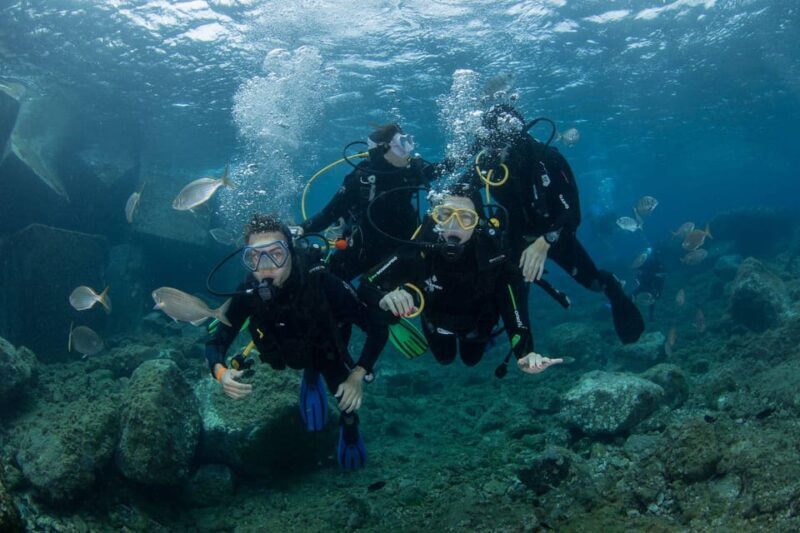 Gran Canaria: Discover Scuba Diving Beginner Program - Key Points