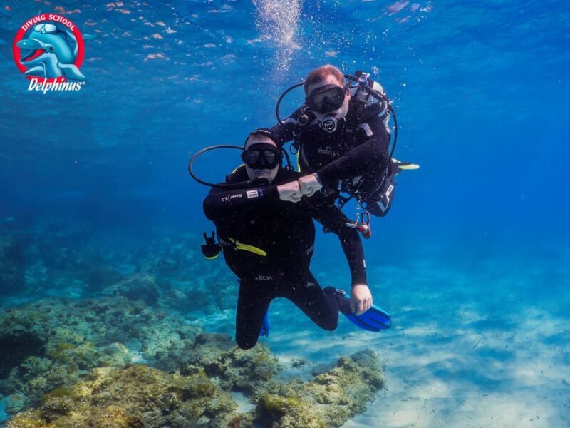 Gran Canaria: Discover Scuba Diving Beginner Program - Pricing and Value
