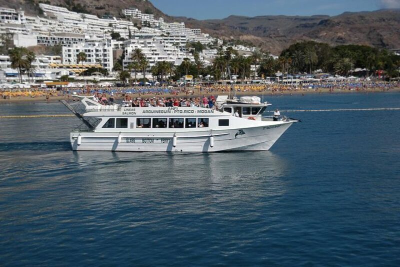 Gran Canaria: Dolphin and Whale Watching Cruise - The Weather and Sea Conditions