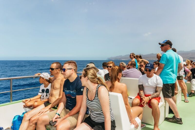 Gran Canaria: Dolphin and Whale Watching Cruise - FAQ