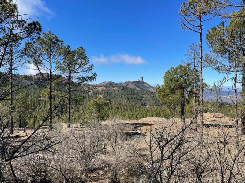Gran Canaria: excursion to the Ventana del Nublo - Key Points