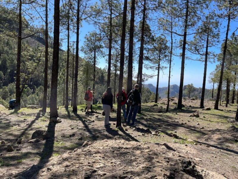 Gran Canaria: excursion to the Ventana del Nublo - What is the Ventana del Nublo tour all about?