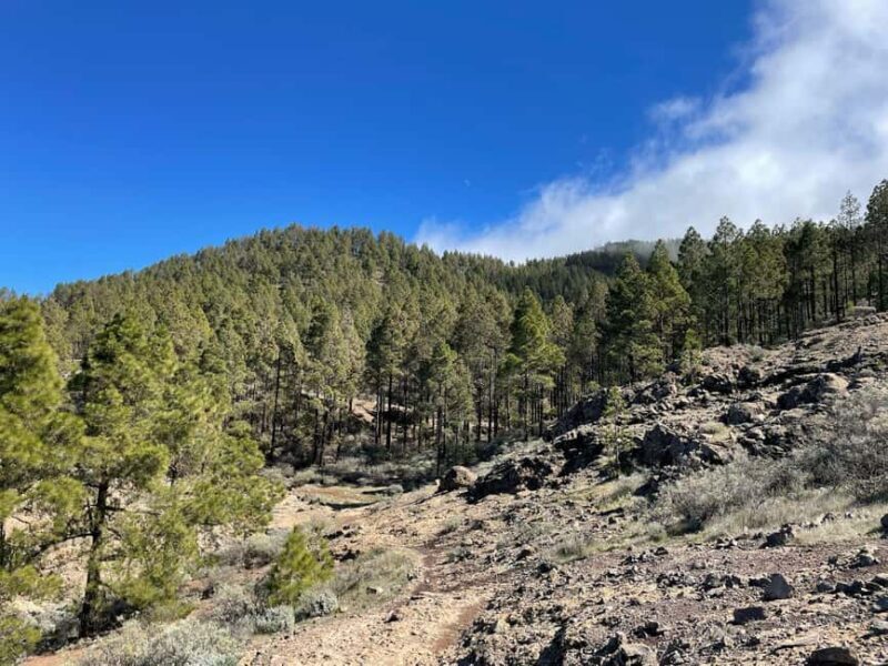 Gran Canaria: excursion to the Ventana del Nublo - FAQs