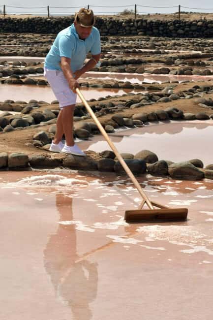 Gran Canaria: Food Tour with Distillery Visit & Lunch - Who Should Consider This Tour?