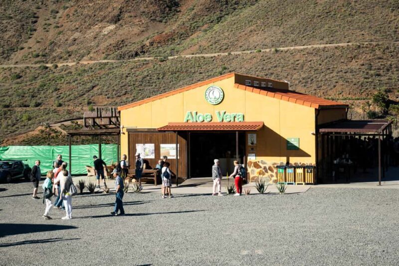 Gran Canaria from the Heights: Fataga and Tejeda - Final Thoughts