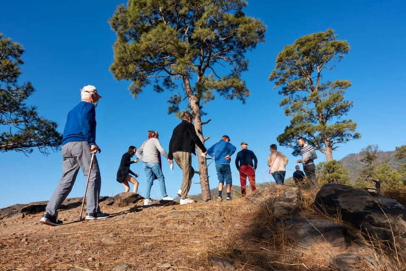 Gran Canaria: Full Coast Tour with Local Guide - Practical Details