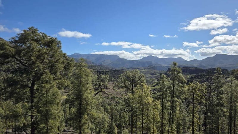 Gran Canaria: Full Coast Tour with Local Guide - FAQs