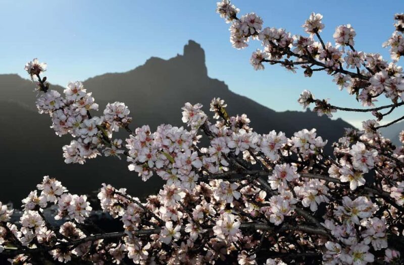 Gran Canaria Gran Tour - An In-Depth Look at the Tour Itinerary