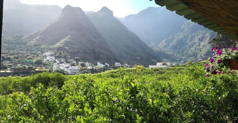 Gran Canaria: Grand Island Tour by Bus with Transfers - Key Points