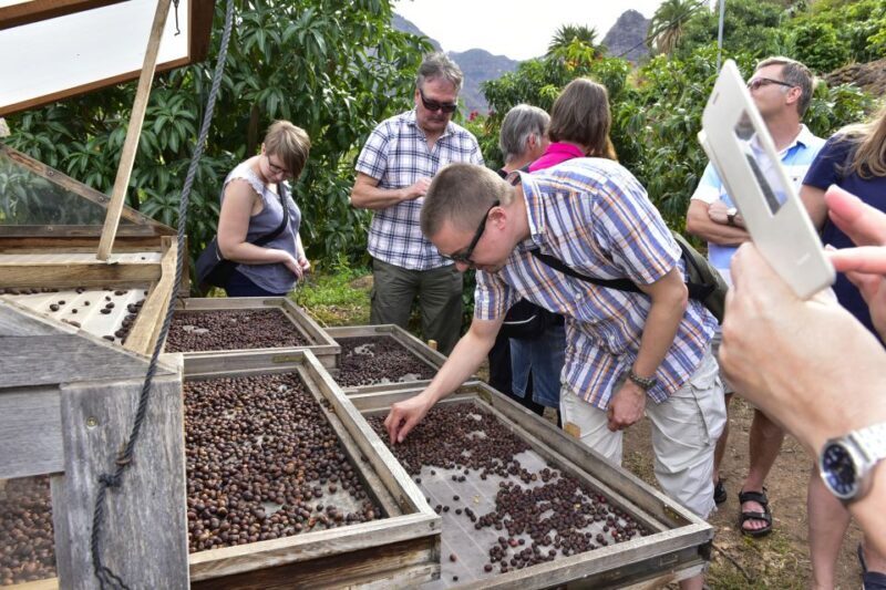 Gran Canaria: Grand Island Tour by Bus with Transfers - Exploring the Inland Charm: San Nicolás and Agaete