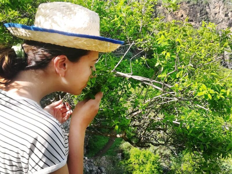 Gran Canaria: Green Witchcraft in the Magic Island - Who Will Love This?