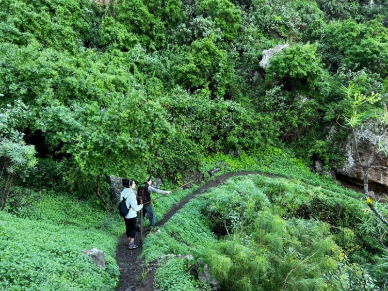 Gran Canaria: Green Witchcraft in the Magic Island - FAQ