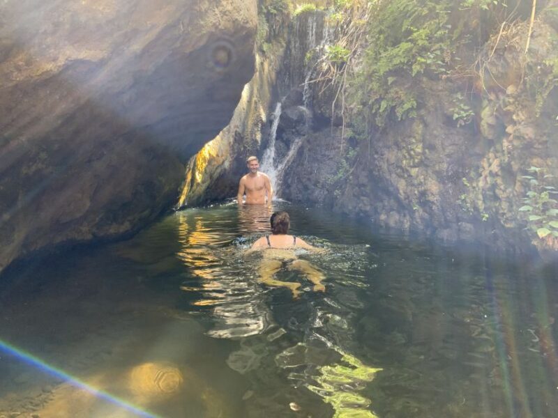 Gran Canaria: Guided Day Tour to Rainforest with Tasting - Who Will Love This Tour?