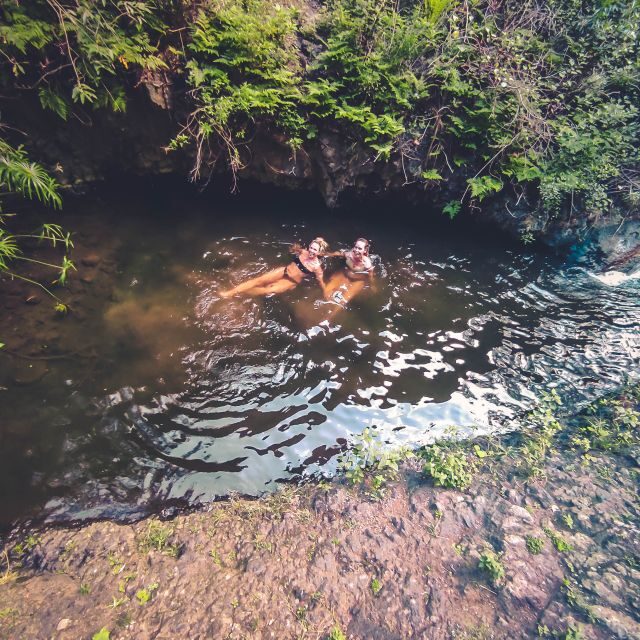 Gran Canaria: Guided Day Tour to Rainforest with Tasting - Frequently Asked Questions