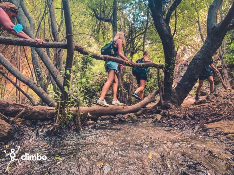 Gran Canaria: Guided Day Tour to Rainforest with Tasting - Final Thoughts