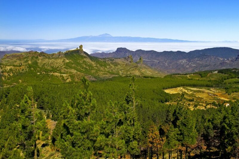 Gran Canaria Highlights Full-Day Tour by Bus - Why This Tour Might Be a Good Fit