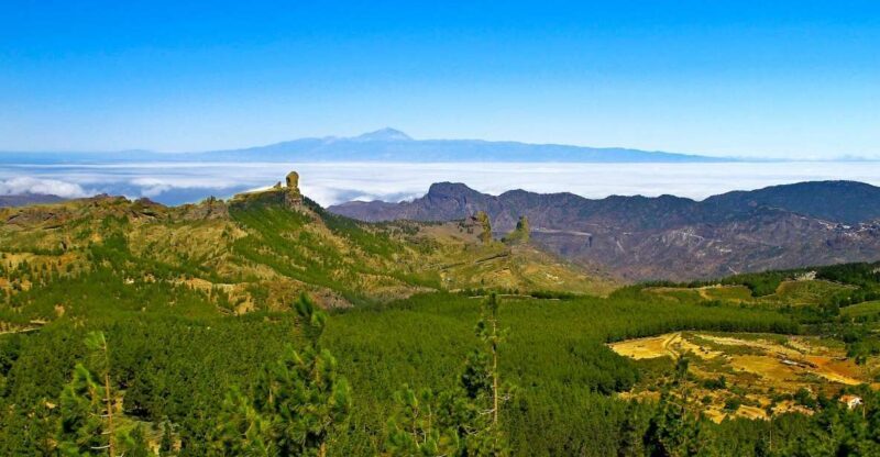 Gran Canaria Highlights Full-Day Tour by Bus - The Return and Logistics