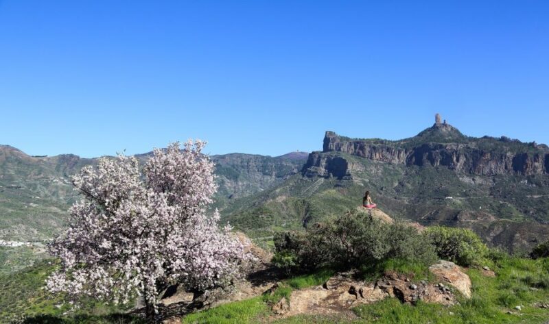 Gran Canaria Highlights Full-Day Tour by Bus - The Practicalities