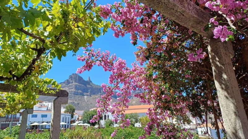 Gran Canaria: Highlights & hidden gems with Sky Rebels - Discovering Gran Canaria’s Charms