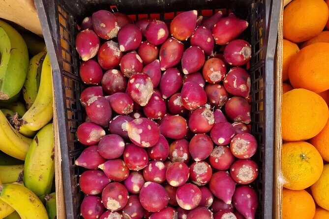 Gran Canaria Highlights Private Tour VIP - FAQs