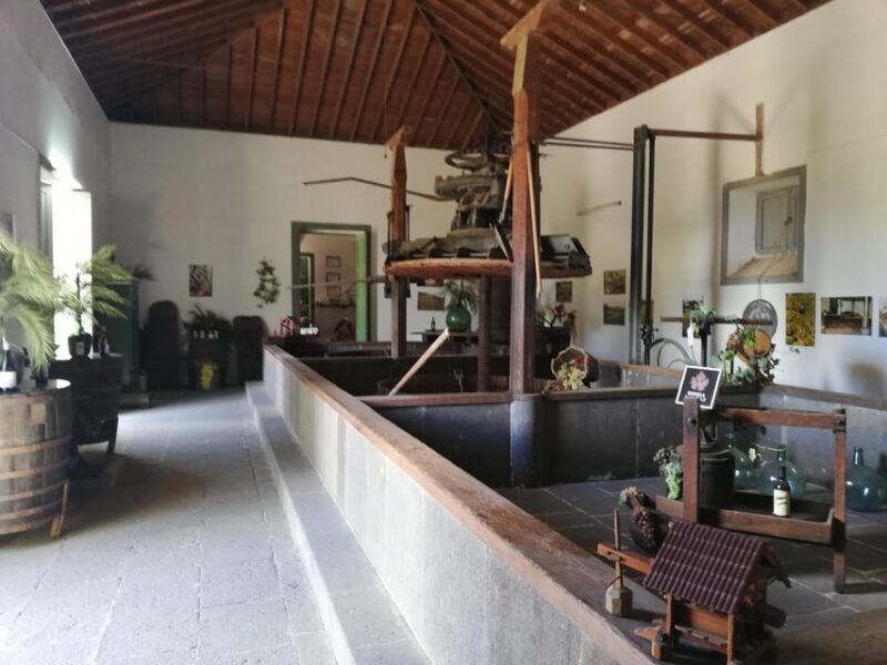 Gran Canaria: Highlights Wine Tasting Tour & shore excursion - FAQs