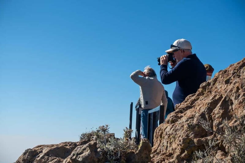 Gran Canaria: Island Highlights Tour with Optional Lunch - Key Points