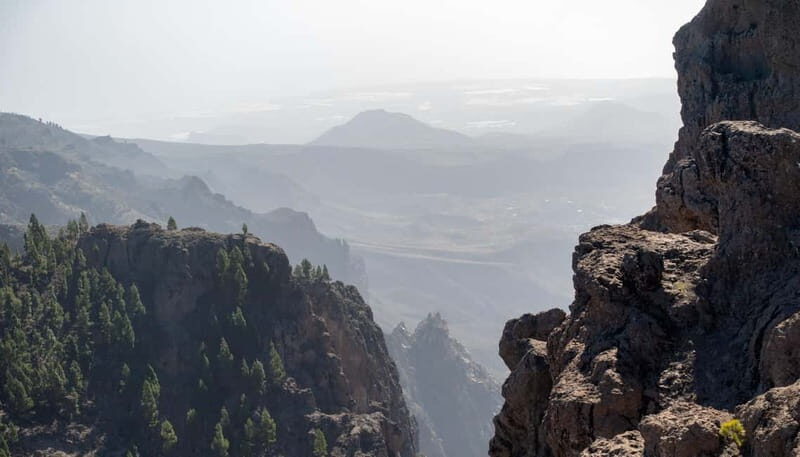 Gran Canaria: Island Highlights Tour with Optional Lunch - The Real Experience: What Travelers Say