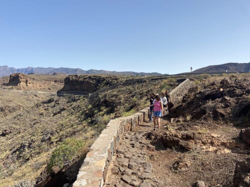 Gran Canaria LET'S GET HIGH!: altitude wines and tapas lunch - Key Points