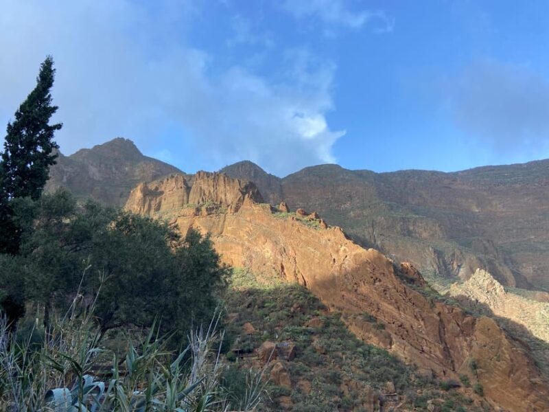 Gran Canaria LET'S GET HIGH!: altitude wines and tapas lunch - Scenic Views and Travel Tips