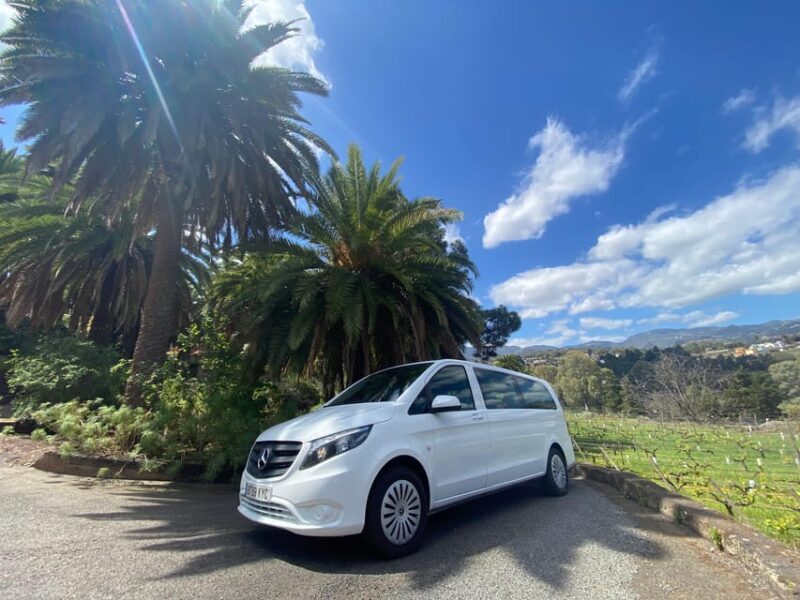 Gran Canaria LET'S GET HIGH!: altitude wines and tapas lunch - Practical Details and What to Pack