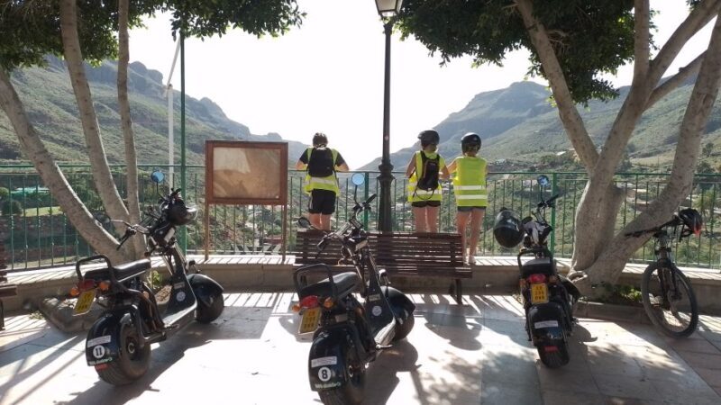 Gran Canaria: Los Pilancones Natural Park e-Scooter Tour - Key Points