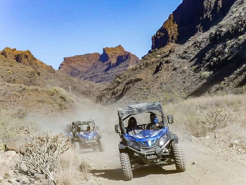 Gran Canaria: Off-Road Buggy Adventure in the Canyons - The Experience from a Traveler’s Perspective