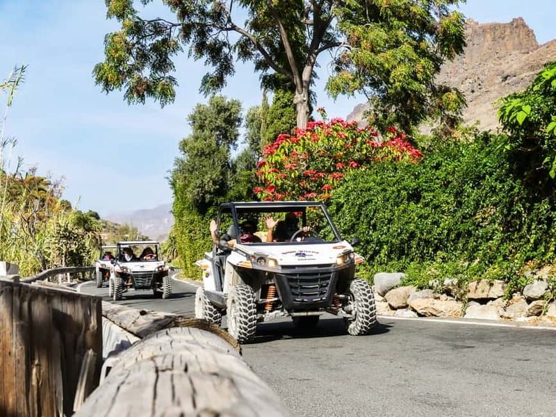 Gran Canaria: Off-Road Buggy Adventure in the Canyons - What $76 Gets You: Value Breakdown That Actually Makes Sense