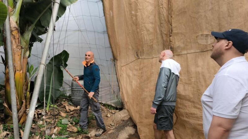 Gran Canaria: Paragliding Flight & Banana Plantation Tour - Final Thoughts